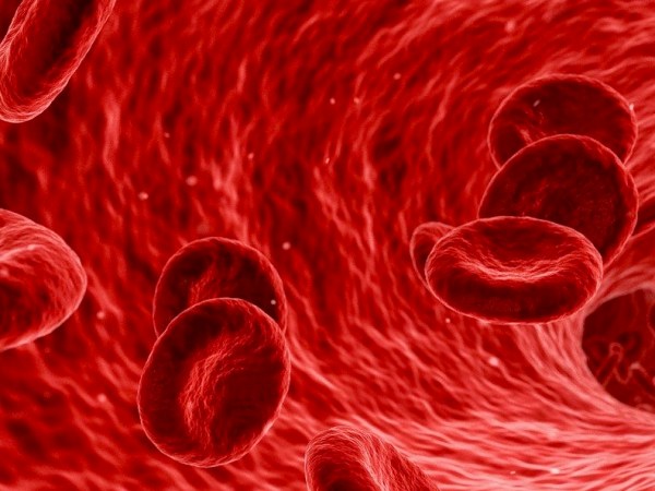 Objetivo «Reintervención por sangrado 0, Transfusión 0» (Programa Patient Blood&nbsp;Management)